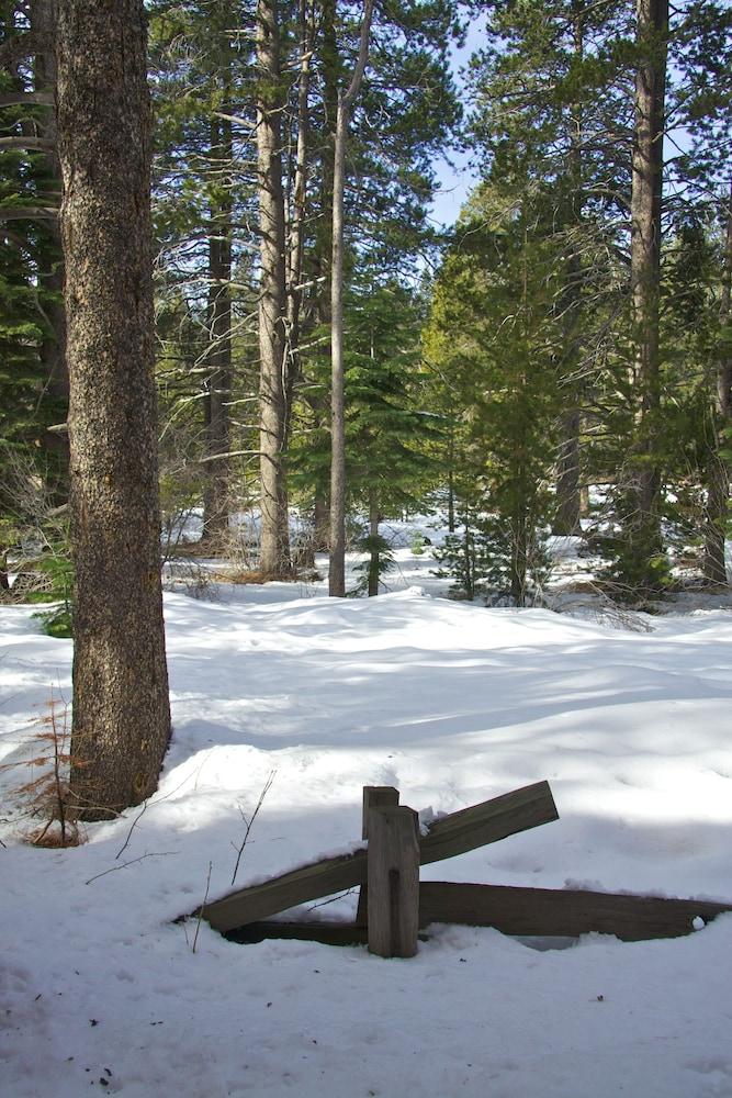 Truckee Donner Lodge Eksteriør bilde